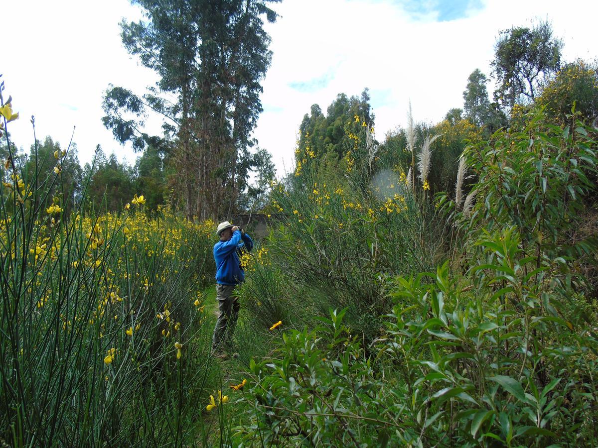 Séjour à la campagne Huaripampa *