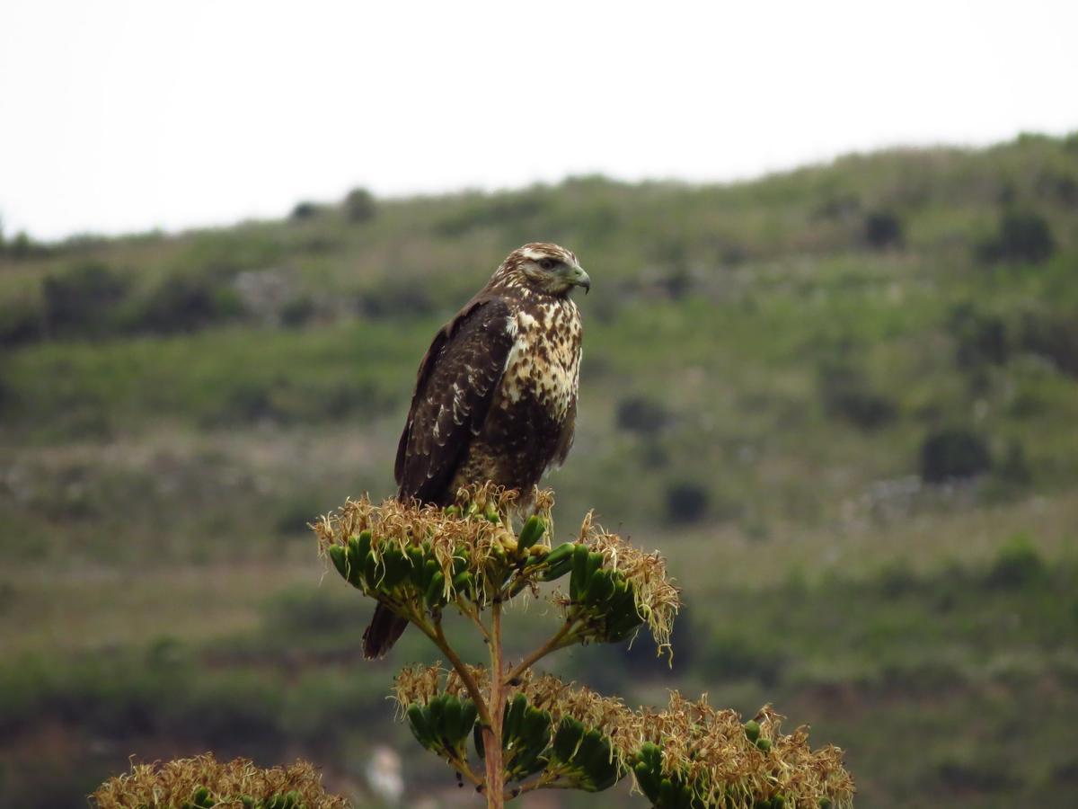 Séjour à la campagne Huaripampa Jauja